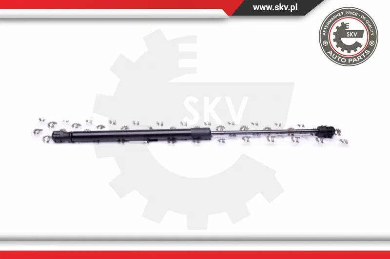 Gas Spring, boot/cargo area