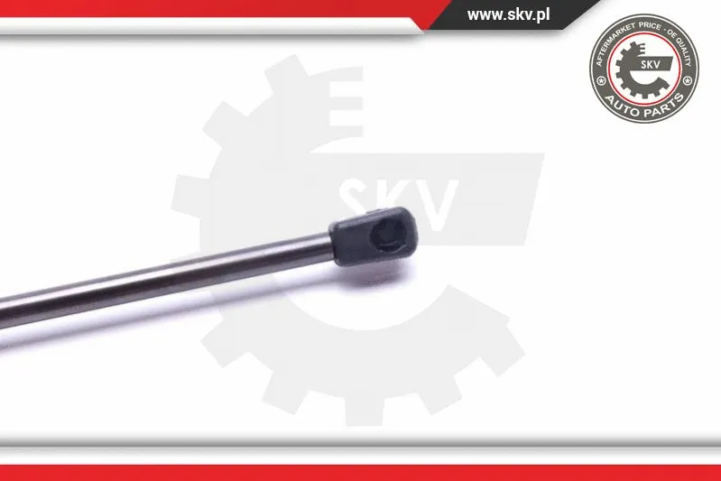 Gas Spring, boot/cargo area