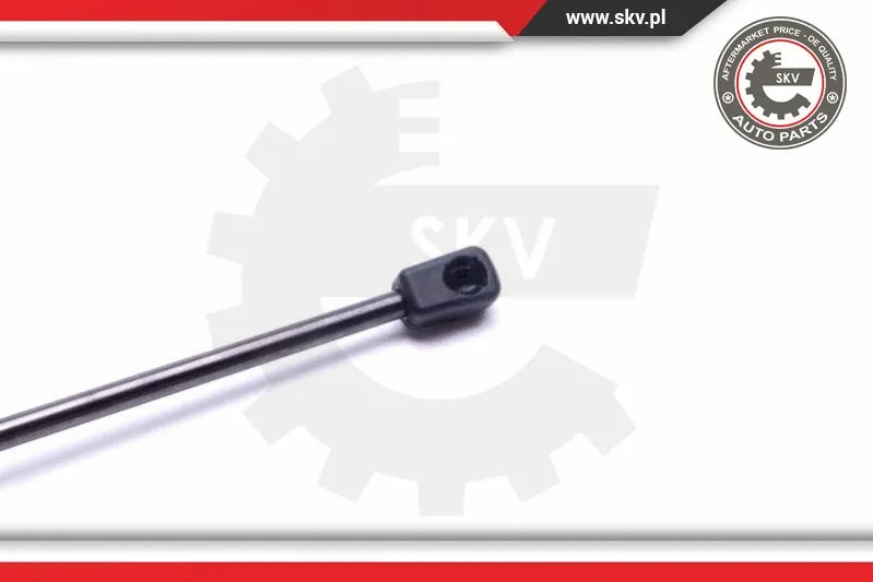 Gas Spring, boot/cargo area