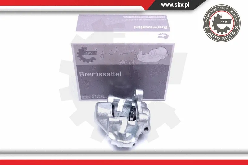 Brake Caliper (42SKV734)