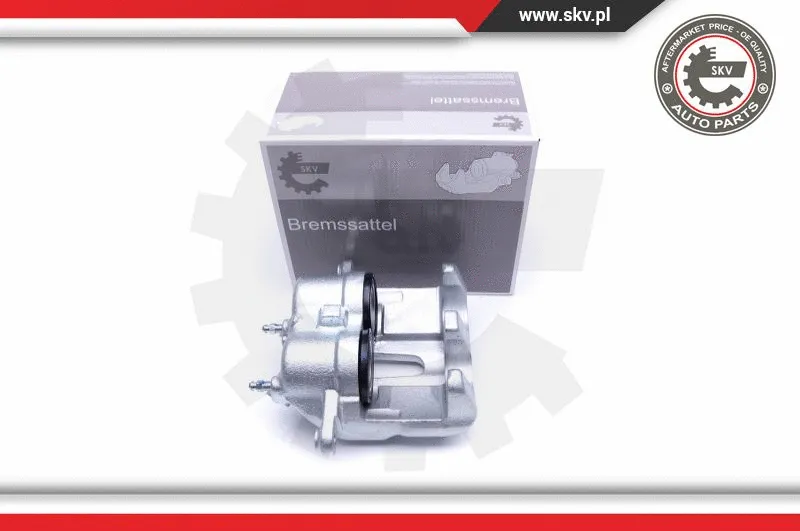 Brake Caliper (50SKV251)