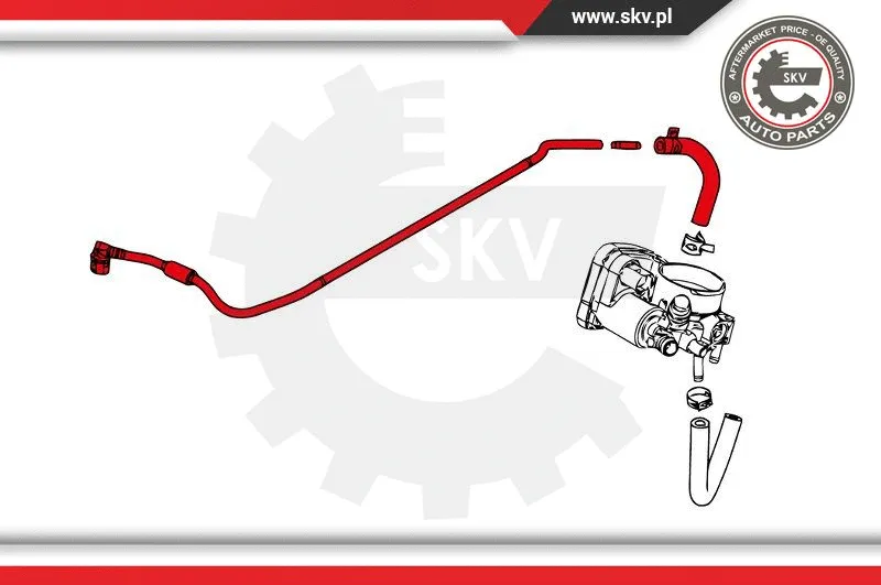 Radiator Hose