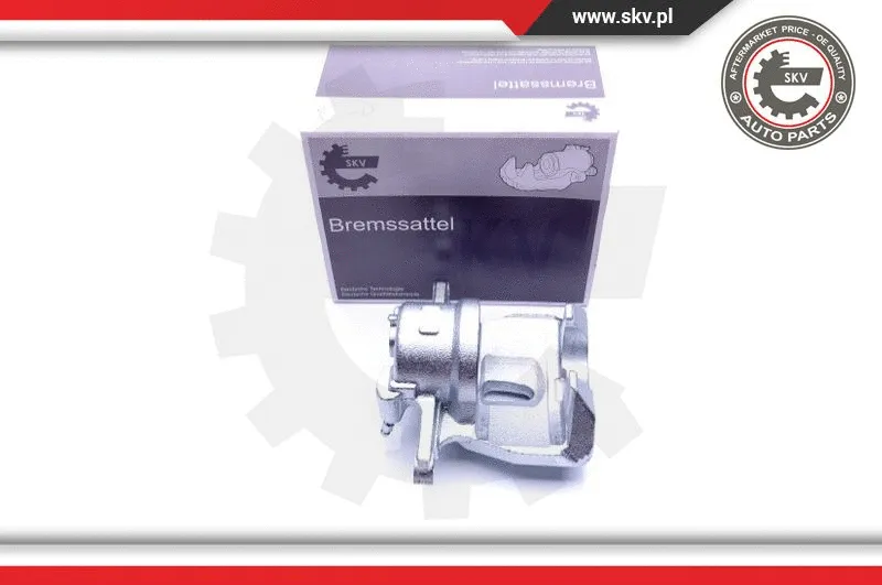 Brake Caliper (44SKV321)