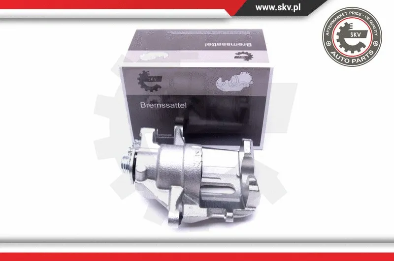 Brake Caliper (42SKV912)
