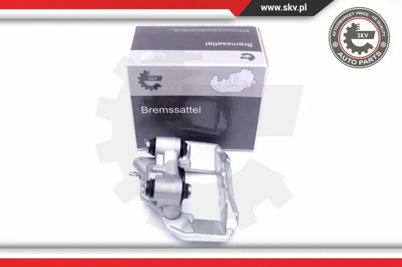 Brake Caliper (42SKV112)