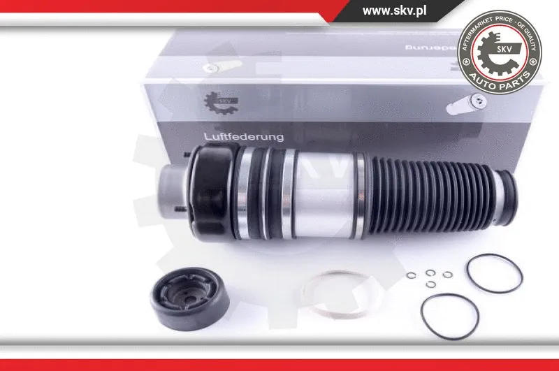 Air Spring, suspension (58SKV044)
