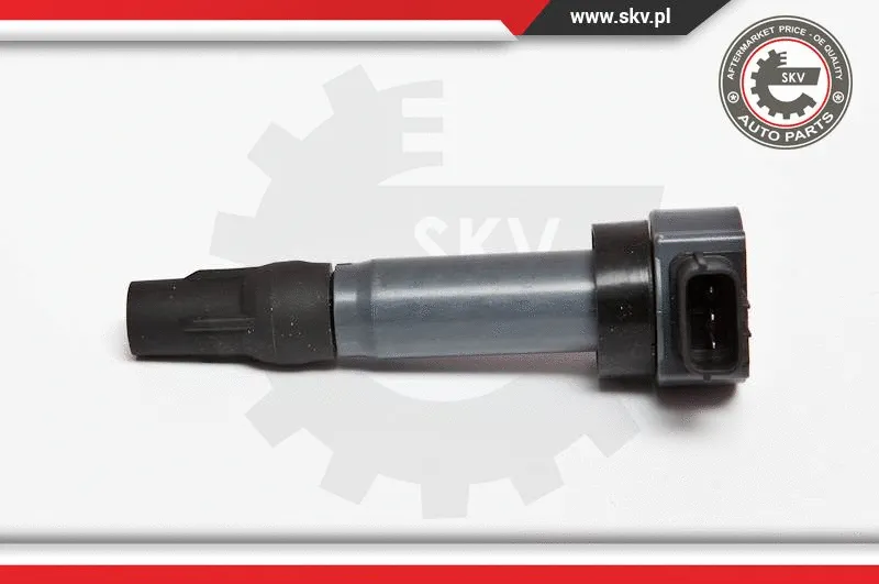 Ignition Coil (03SKV198)
