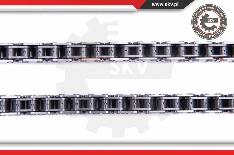 Timing Chain Kit