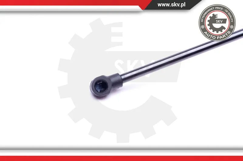 Gas Spring, boot/cargo area
