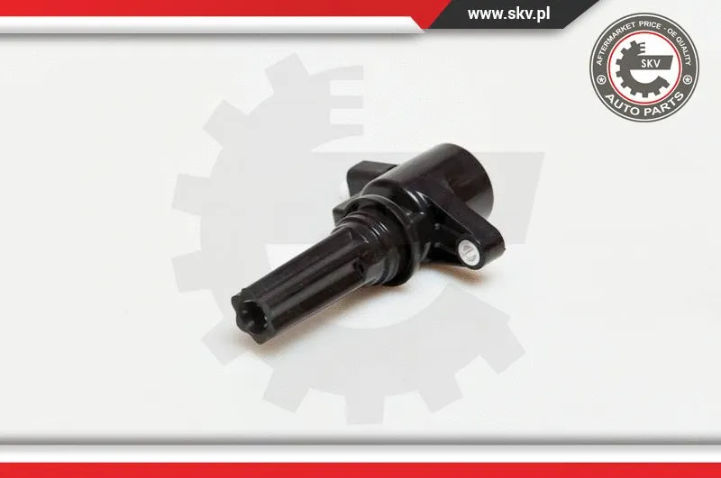 Ignition Coil (03SKV181)