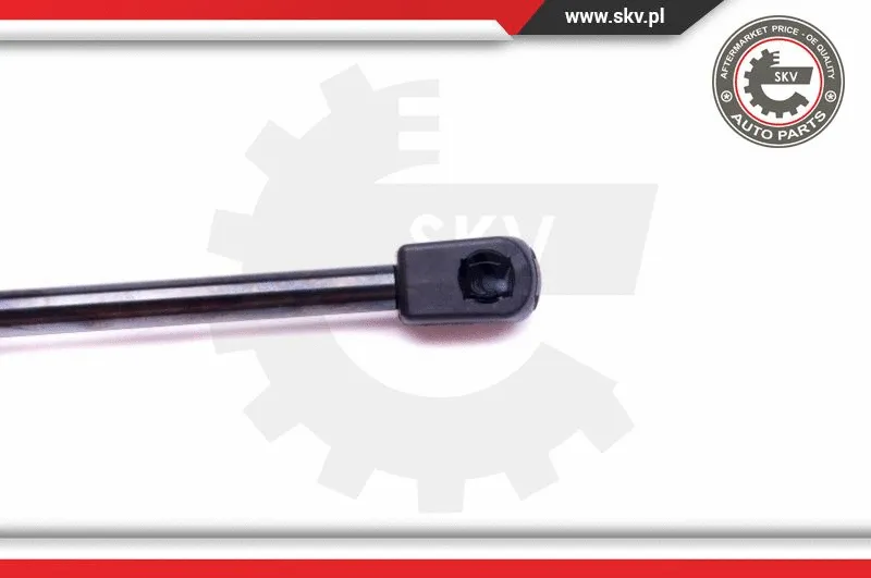 Gas Spring, boot/cargo area