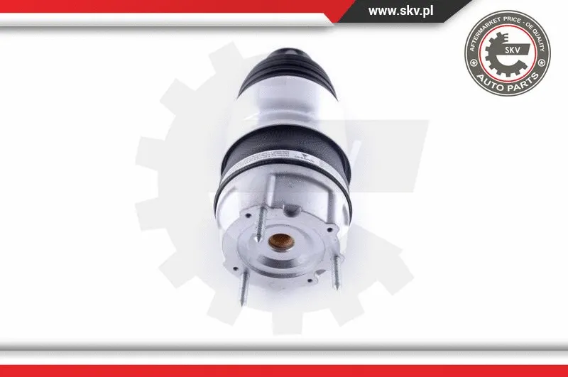 Air Spring, suspension