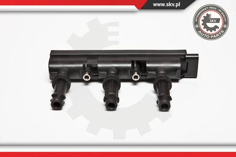 Ignition Coil (03SKV187)
