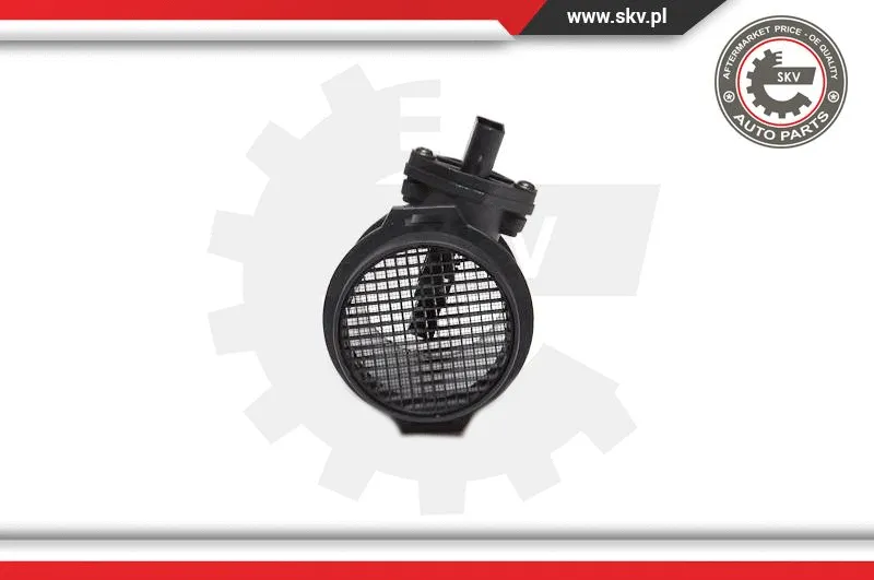 Mass Air Flow Sensor
