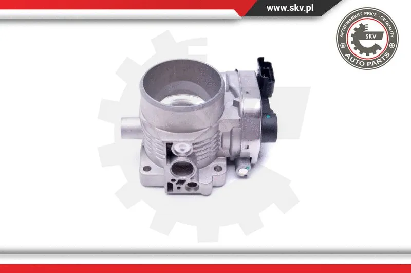 Throttle Body