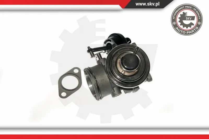 EGR Valve (14SKV090)