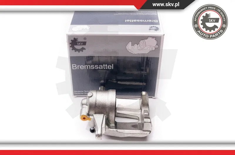 Brake Caliper (34SKV151)