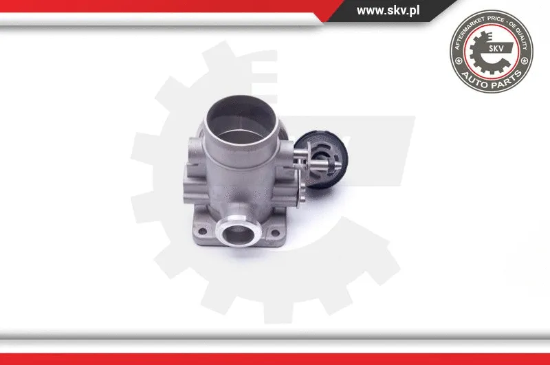 EGR Valve