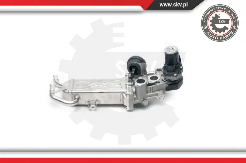 EGR Valve