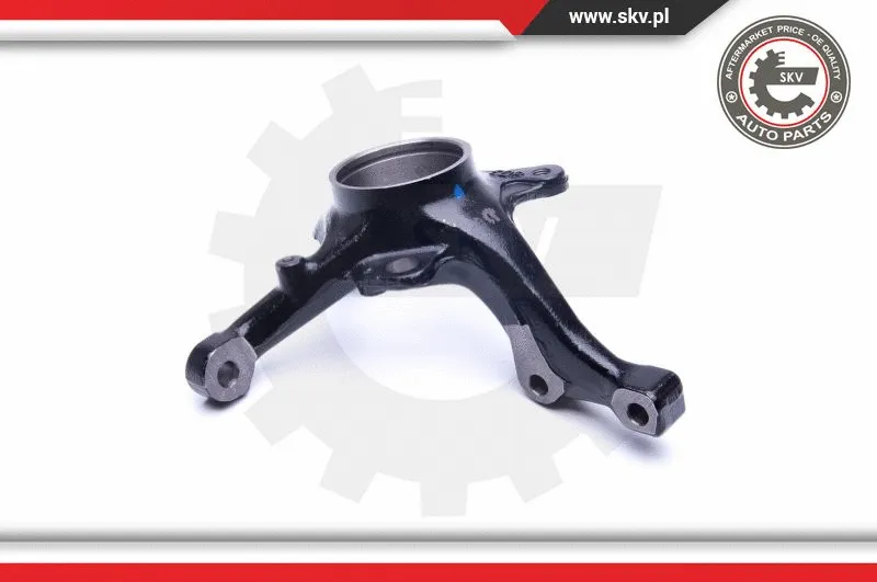 Steering Knuckle, wheel suspension