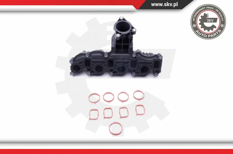 Intake Manifold Module