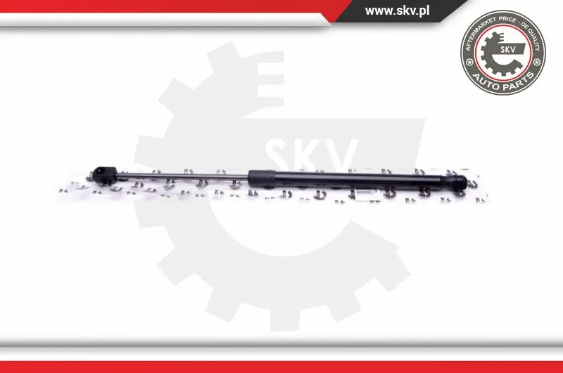 Gas Spring, boot/cargo area