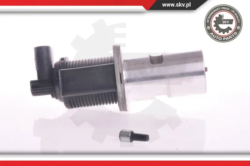 EGR Valve (14SKV011)