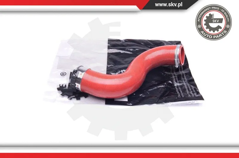 Charge Air Hose (24SKV810)