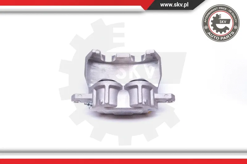 Brake Caliper (34SKV991)