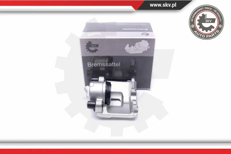 Brake Caliper (55SKV822)