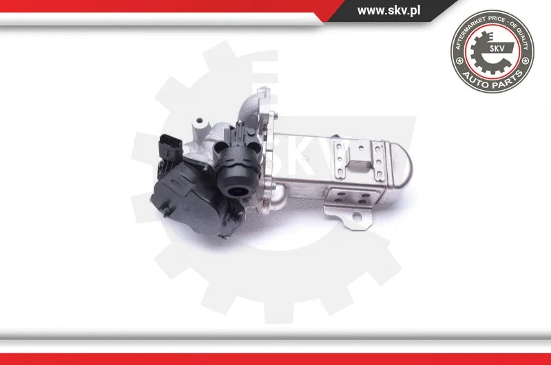 EGR Valve