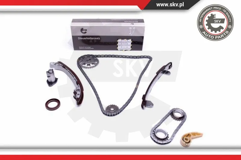 Timing Chain Kit (21SKV195)