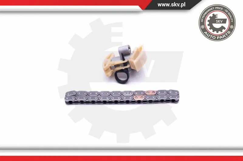 Timing Chain Kit