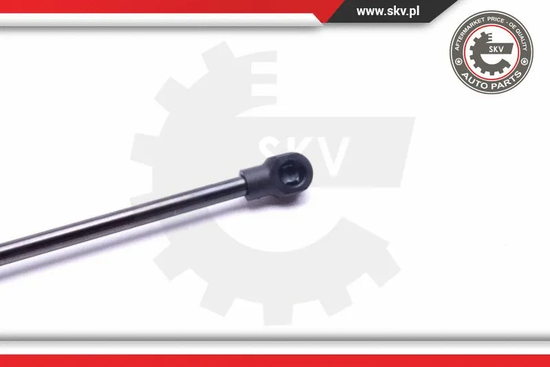 Gas Spring, boot/cargo area