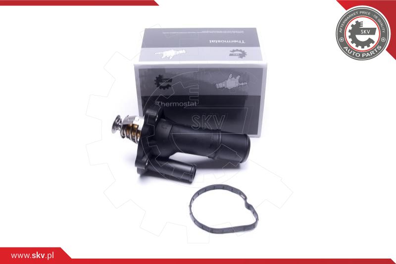 Thermostat, coolant (20SKV209)