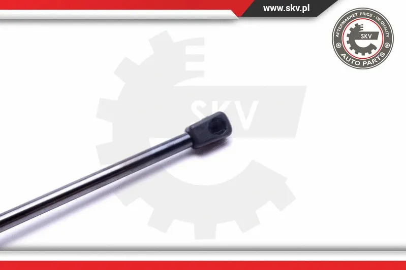 Gas Spring, boot/cargo area