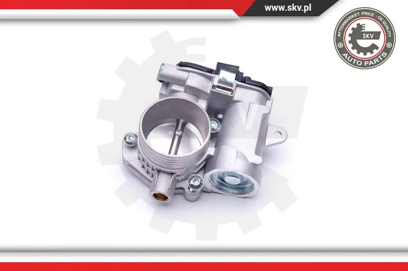 Throttle Body