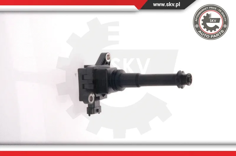 Ignition Coil (03SKV011)