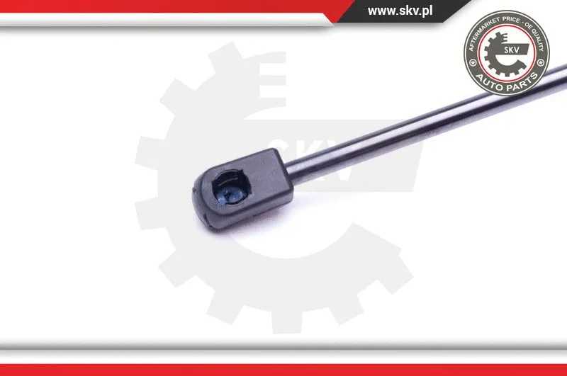 Gas Spring, boot/cargo area