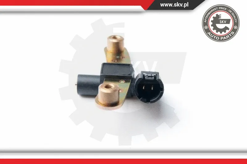 Sensor, crankshaft pulse (17SKV280)