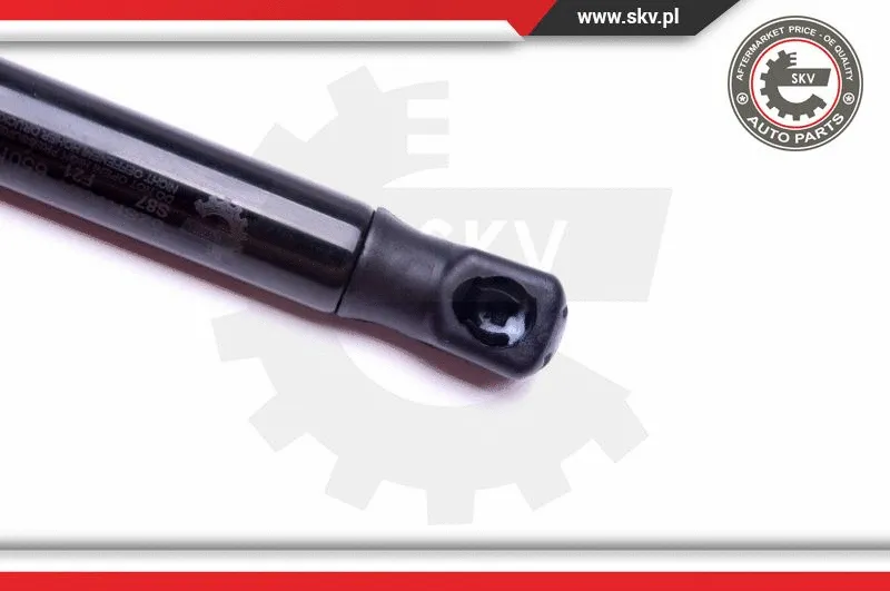 Gas Spring, boot/cargo area