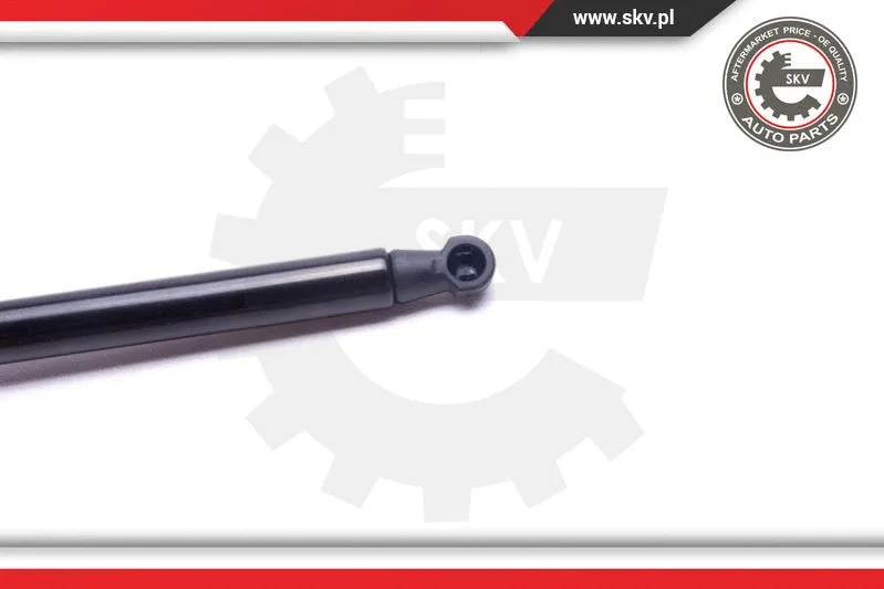 Gas Spring, boot/cargo area