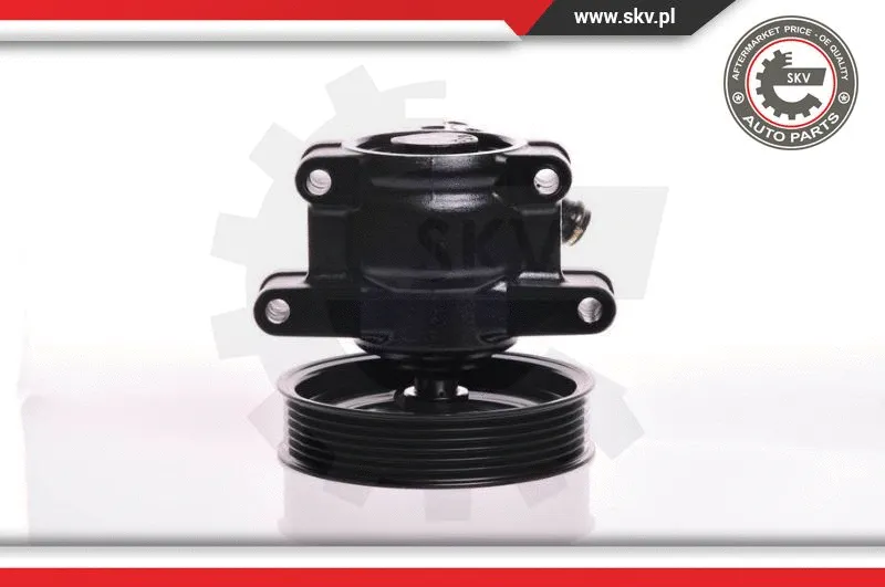 Hydraulic Pump, steering (10SKV150)