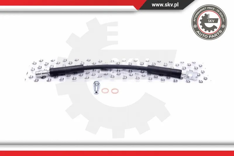 Brake Hose (35SKV166)