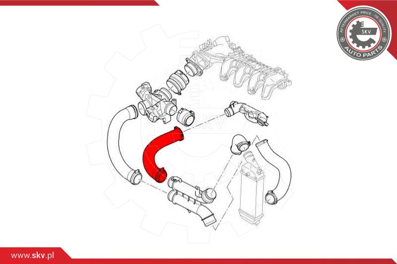 Charge Air Hose