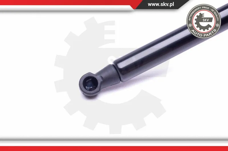 Gas Spring, boot/cargo area