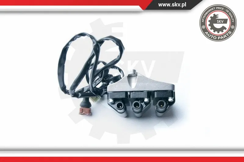 Ignition Coil (03SKV217)