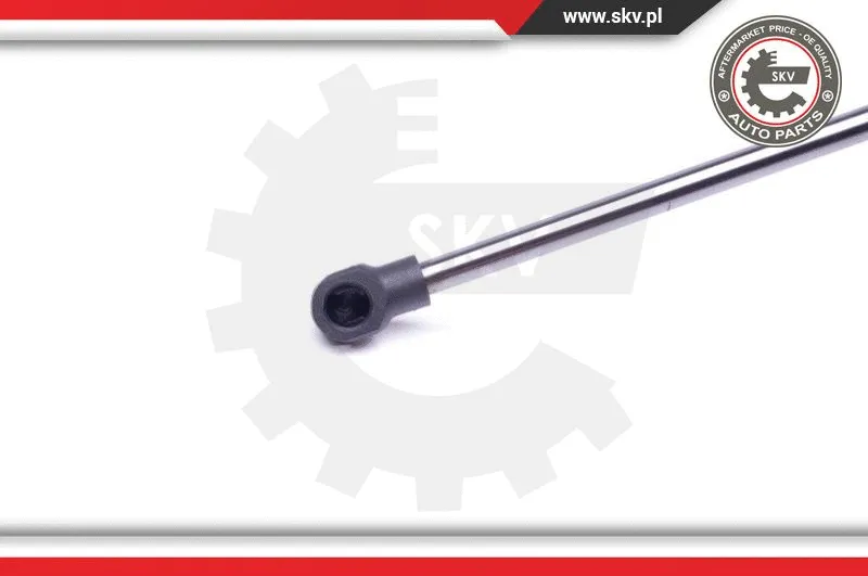 Gas Spring, boot/cargo area