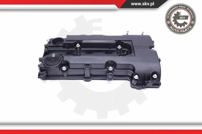 Cylinder Head Cover (48SKV008)