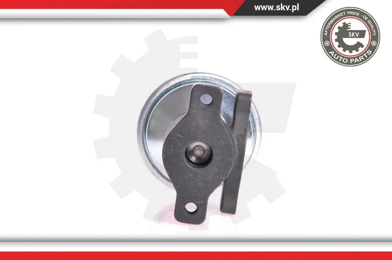 EGR Valve (14SKV005)